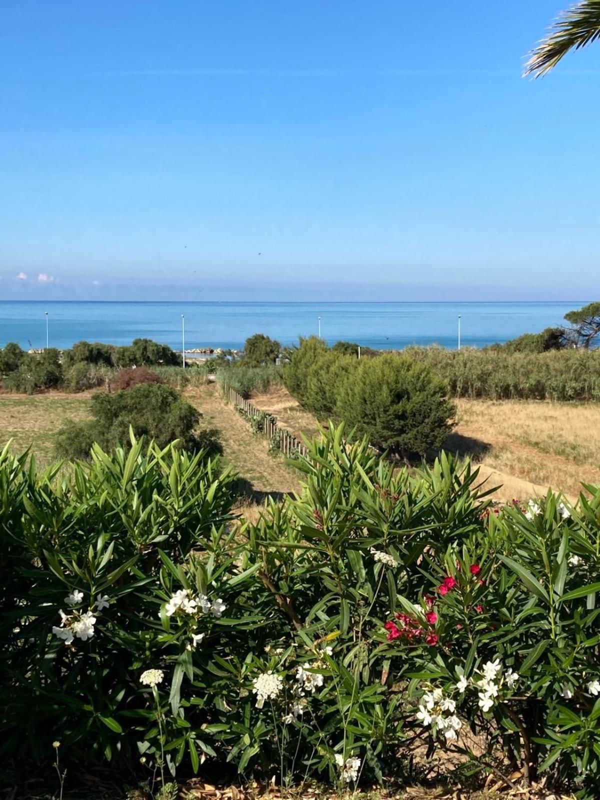 Domus Mare Luxury Apartment San Leone Bagian luar foto