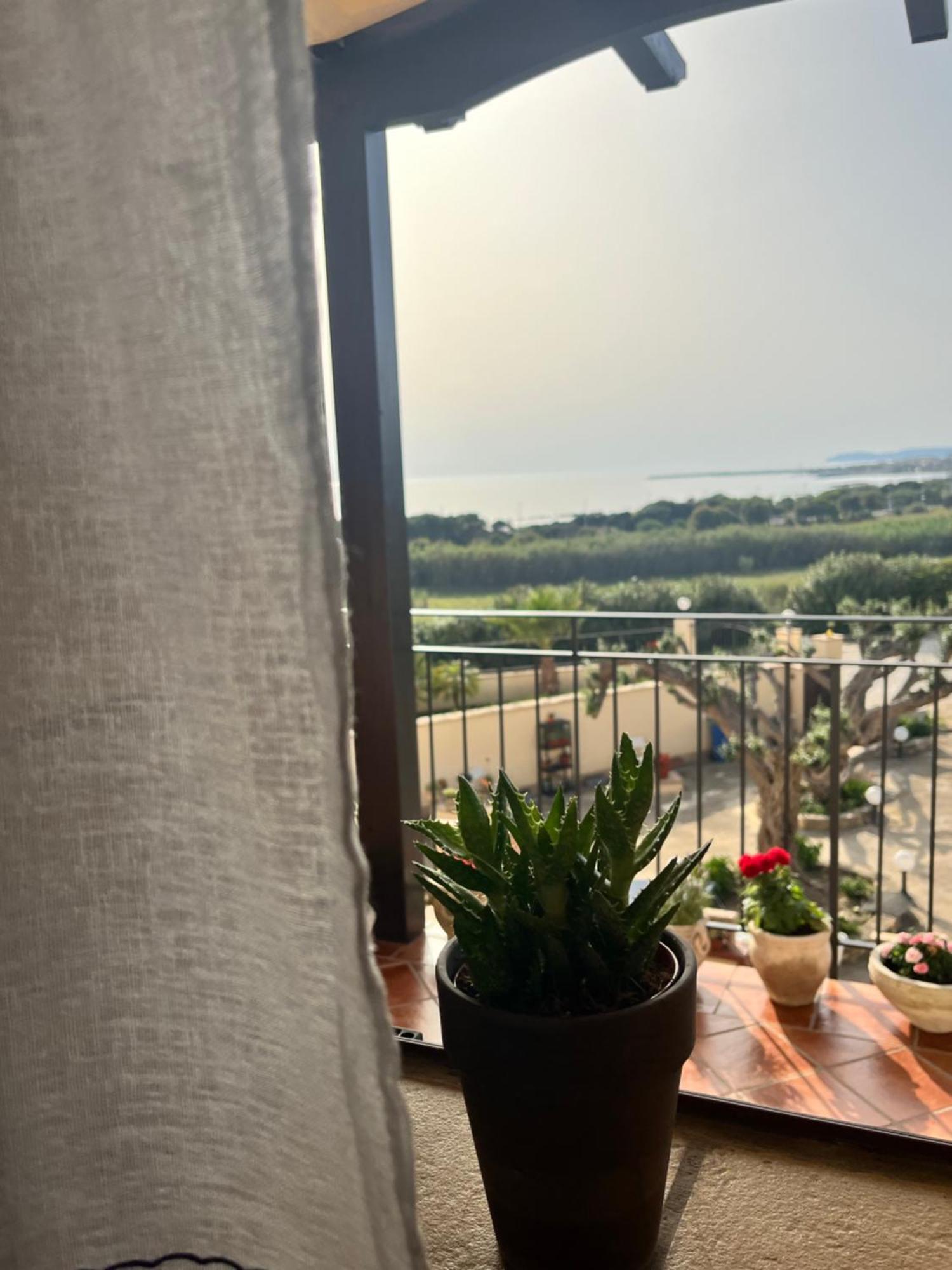Domus Mare Luxury Apartment San Leone Bagian luar foto